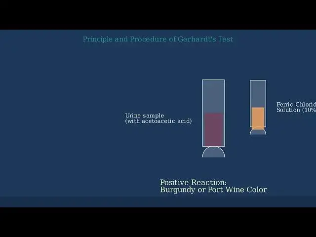 'Video thumbnail for Gerhardt's Test: Detecting Ketones in Urine'