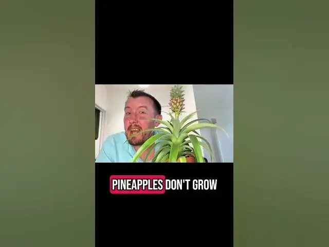 'Video thumbnail for 🪴 Houseplant Number 10 Revealed! A Bold Beauty for Your Indoor Jungle'