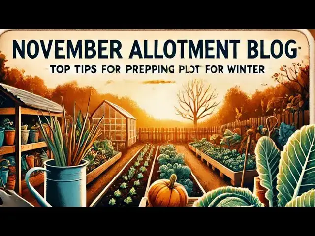 'Video thumbnail for November Allotment Blog | Top Tips for Prepping Your Plot for Winter'