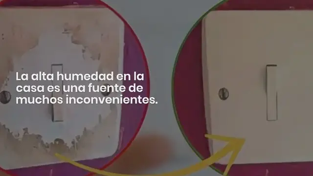 'Video thumbnail for Un método para reparar una pared húmeda de forma rápida y eficaz:'