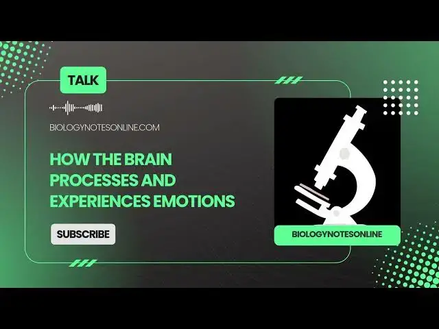 'Video thumbnail for how the brain processes and experiences emotions'