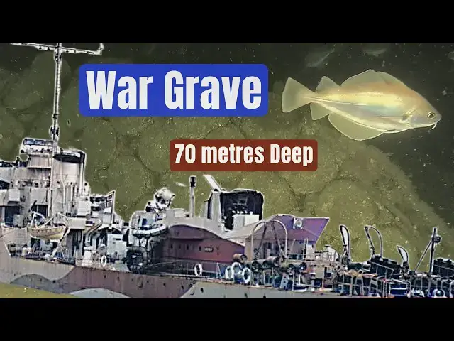 'Video thumbnail for Shipwreck of WW2 Destroyer Revealed'