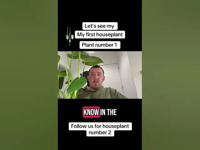 'Video thumbnail for 🌿 Houseplant Number 1 Revealed | The First Plant in My Indoor Collection'
